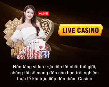 Giấy phép hoạt động và quy định pháp lý